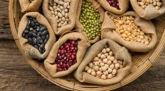 Augalų dauginamoji medžiaga