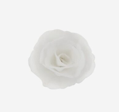 Balta kiniška rožė, 4,5 cm - 1vnt.