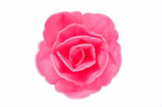Rožinė kiniška rožė, 4,5 cm - 1vnt.