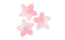 Mini vaflinės gėlytės rožinės, D2cm. - 20 vnt.