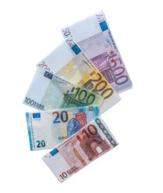 VALGOMI PINIGAI   ( EURAI )