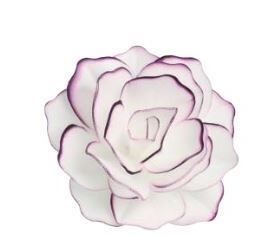 Vaflinė rožė - balta su violetiniais krašteliais 12,5cm