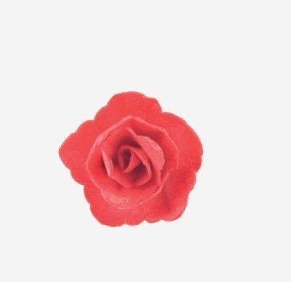 Raudona kiniška rožė, 4,5 cm - 1vnt.