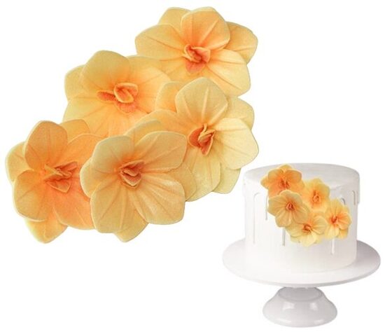 Geltona  vaflinė hortenzija  3,7 cm. 1vnt