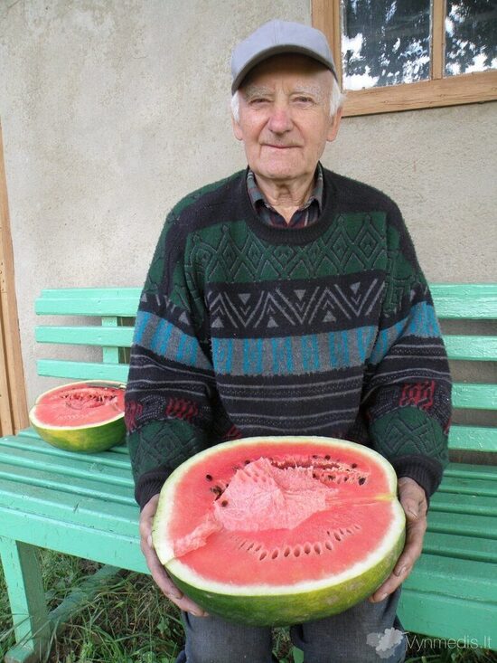 Lietuviški Kiemintai (Sniegiai)