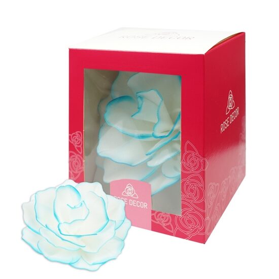 Vaflinė rožė - balta su melsvais krašteliais 12,5cm