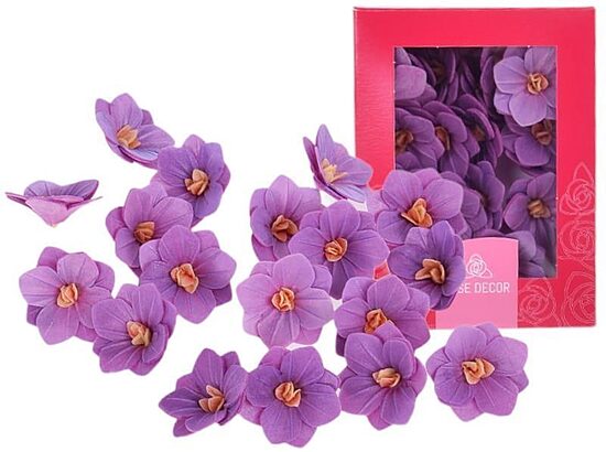 Vaflinė hortenzija - Violetinė 3,7 cm. 1vnt