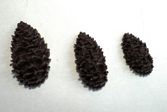 Šokoladinis papuošimas - Kankorėžis