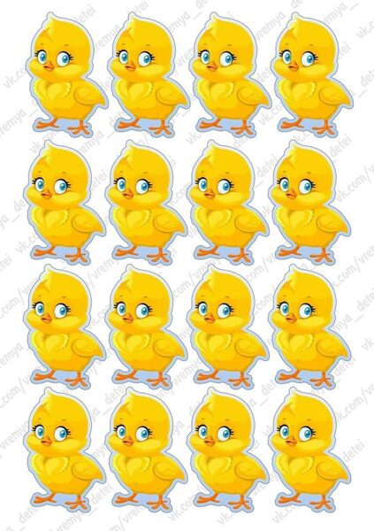 Aplikacija - viščiukai A4 formatas