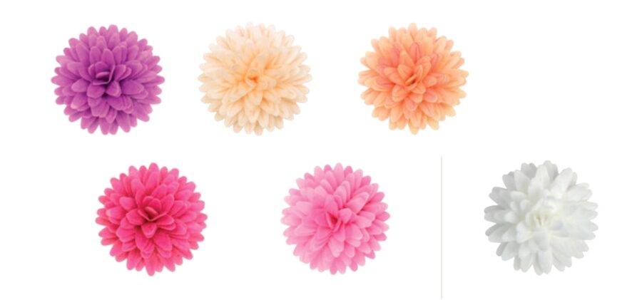 Spalvotos vaflinės gėlės Pom pom 4,5cm